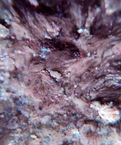 Leading Mineral Exploration Company in Tanzania